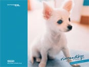 cheats for nintendogs ds